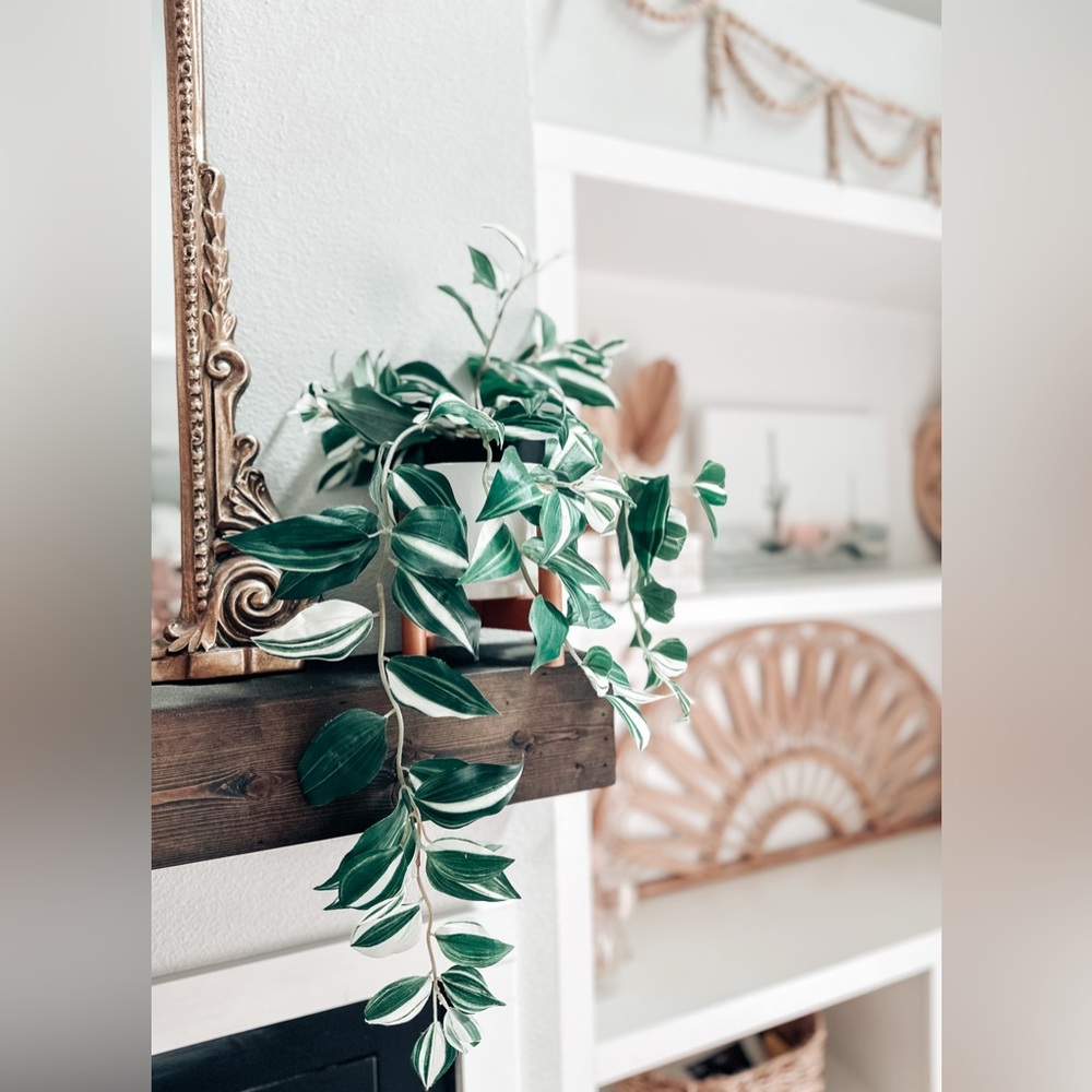 Pottery Barn Artificial Wandering Variegated Plant minimalist Boho Decor - Picture 3 of 7